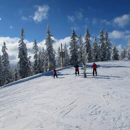 Gaestehaus Puerstl-kocher * Schladming
