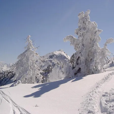 Gaestehaus Puerstl-kocher Nocleg ze śniadaniem Schladming