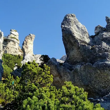 Bed & Breakfast Gaestehaus Puerstl-kocher 3*