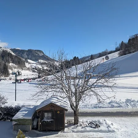 Gaestehaus Puerstl-kocher Schladming