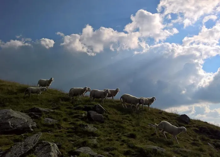 Gaestehaus Puerstl-kocher فندق مبيت وإفطار سخلادميخ